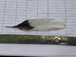 8a2f0c5a-1f03-42f2-ac6b-b9d0e13e611f