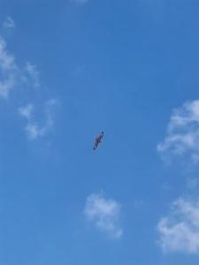 c0737d3b-7e68-4edf-8292-fe2052e8b747